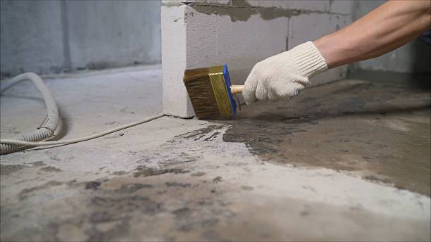 24/7 Emergency Wet Basement Repair experts in Gobles, MI